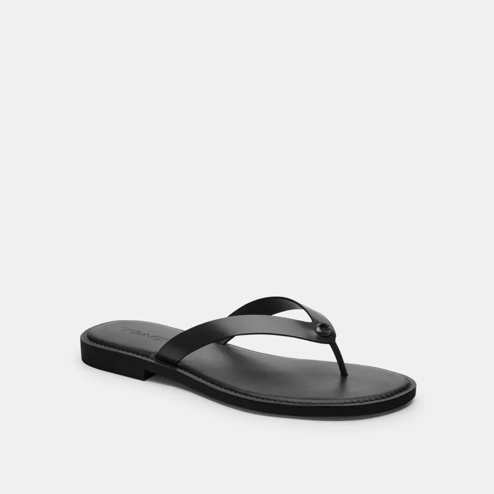 Coach Flip Flops in Black