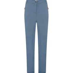 Dare 2b 2b Mldic Ii Trousers in Grey