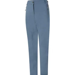 Dare 2b 2b Mldic Ii Trousers in Grey