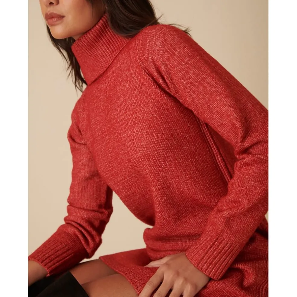 Nobodys Child R Turtleneck Mini Sweater Dress in Red