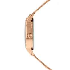 Radley Dog And Moon Wtc in Gold