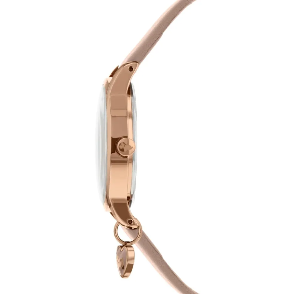 Radley Rgp Case Stp in Brown